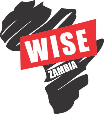 wise-logo